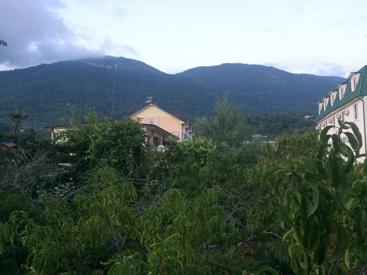 Guesthouse Mira Гагра Екстер'єр фото