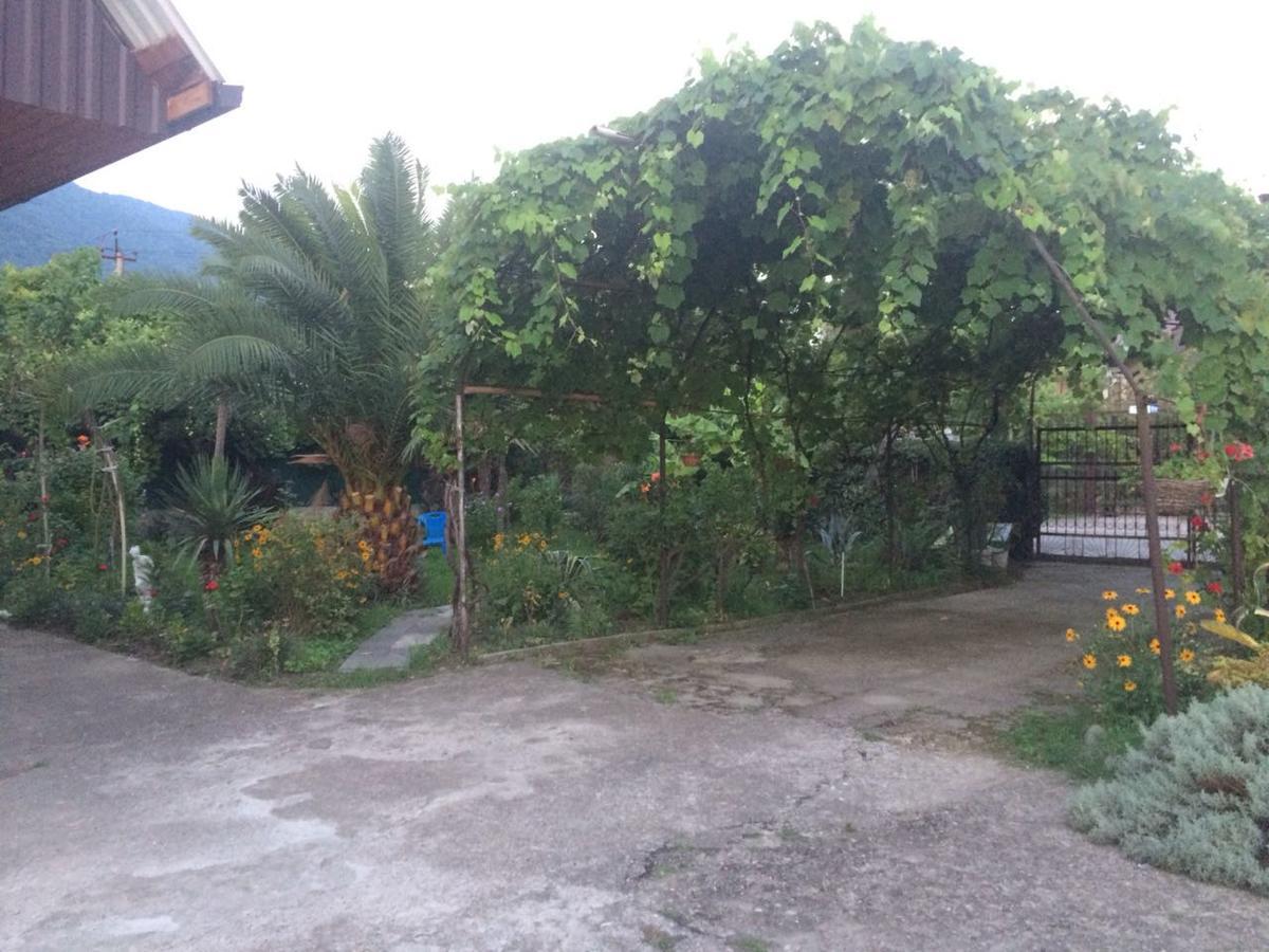 Guesthouse Mira Гагра Екстер'єр фото