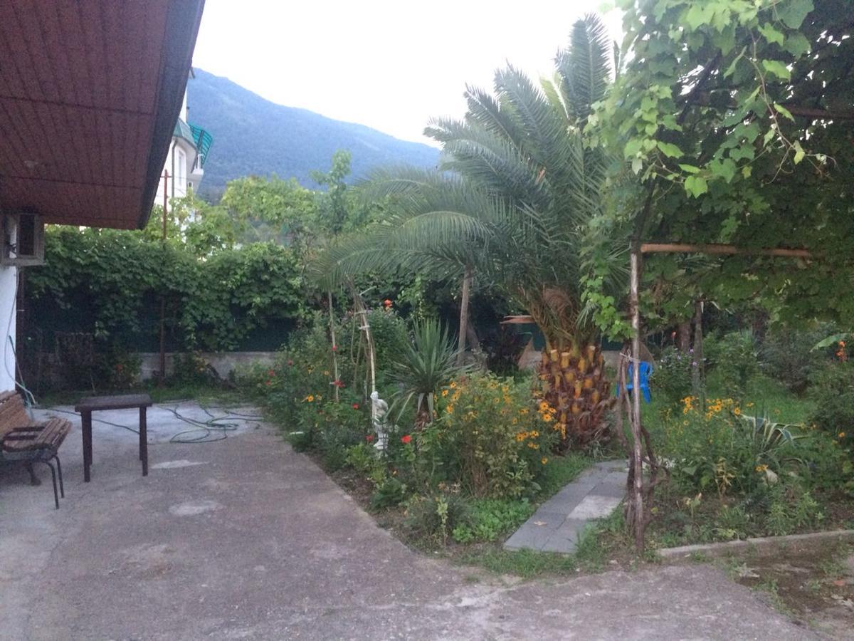 Guesthouse Mira Гагра Екстер'єр фото